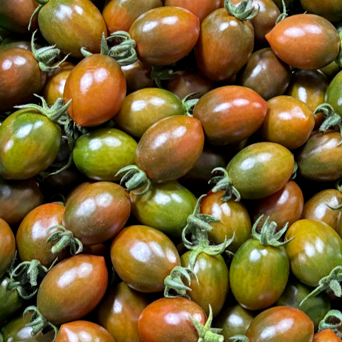 채고농장 명품 흑대추 방울토마토 1kg 