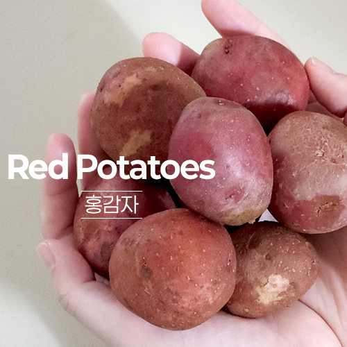 26년 포슬포슬 햇홍감자 특,왕특 사이즈