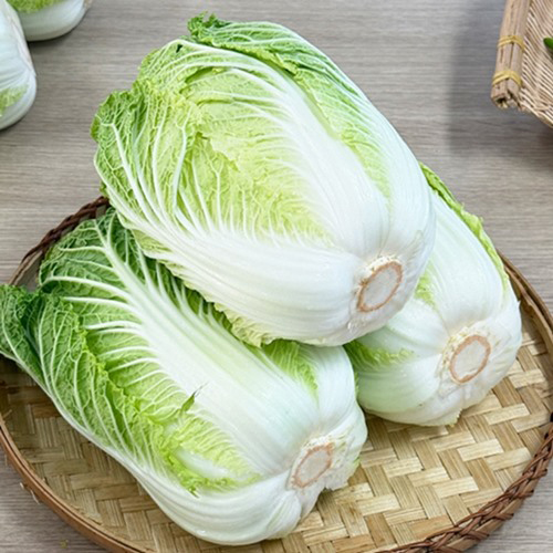 해풍맞은 베타카로틴 미니배추 알배추 2.5kg/5kg