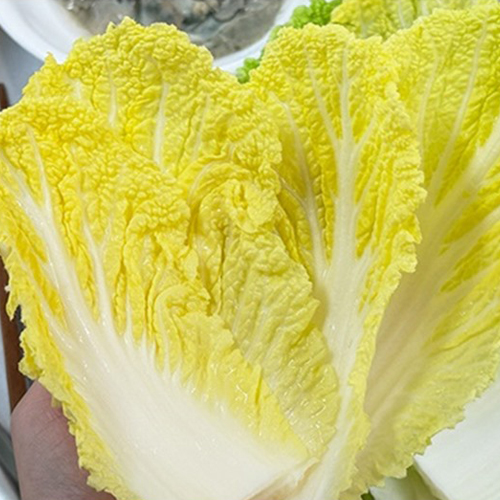 해풍맞은 베타카로틴 미니배추 알배추 2.5kg/5kg